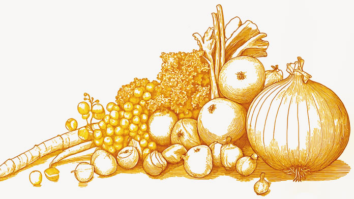 Meilleur antihistaminique naturel