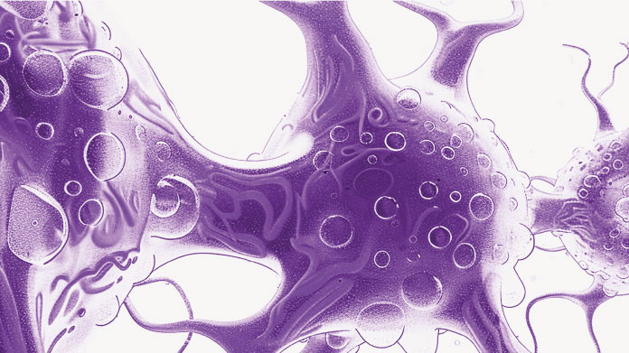 Compléments alimentaires neuroprotecteurs