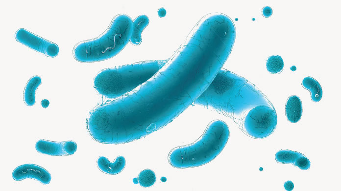 Postbiotiques bons pour la santé